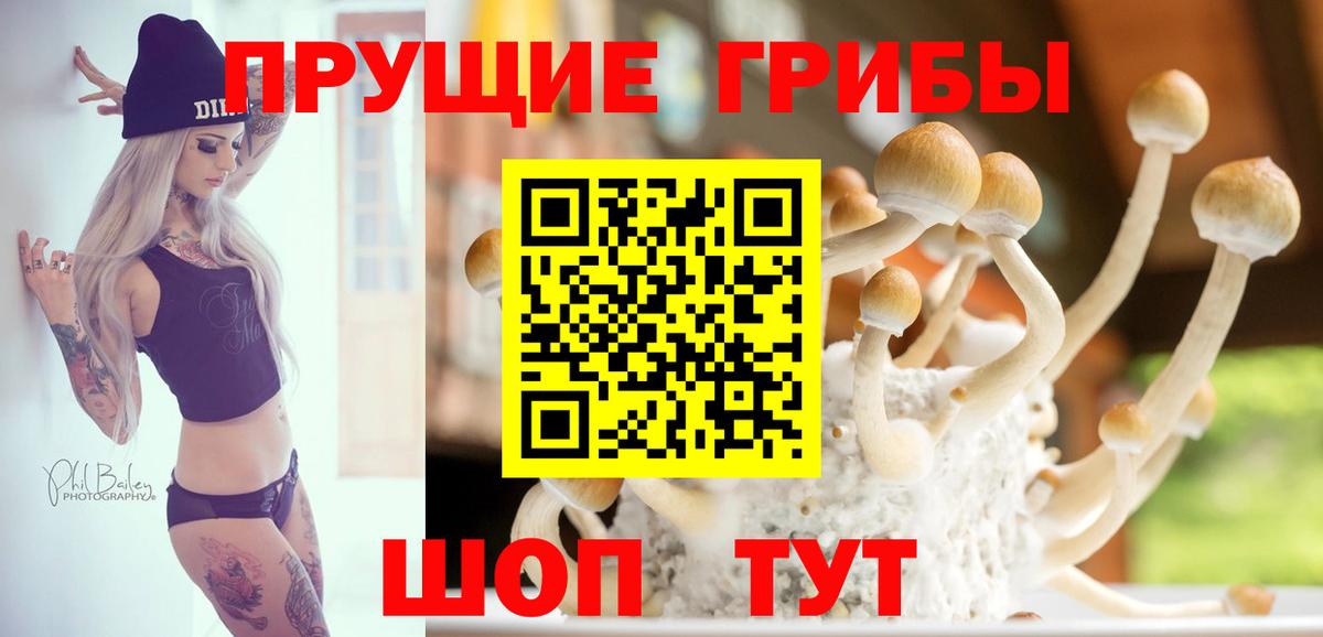 Гай  Псилоцибиновые грибы Cubensis  Вход с VPN 