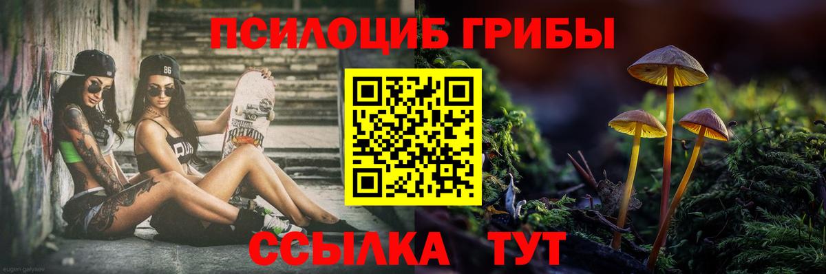 Галлюциногенные грибы прущие грибы Гай