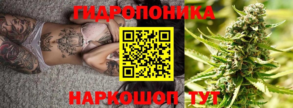 МАРИХУАНА White Widow Гай